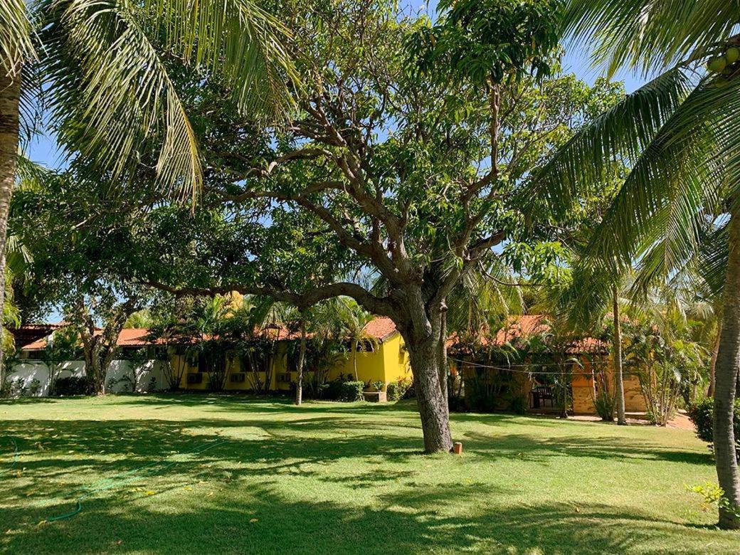 בבריבה Guest House Parajuru מראה חיצוני תמונה